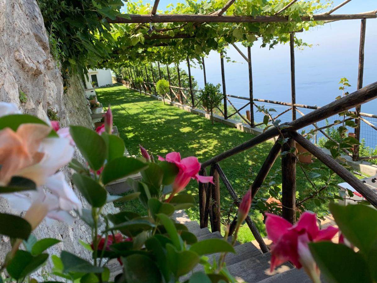 Country House Sant Alfonso ฟูโรเร ภายนอก รูปภาพ